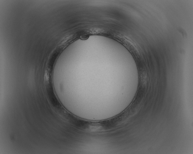 X0000116510214200912292150