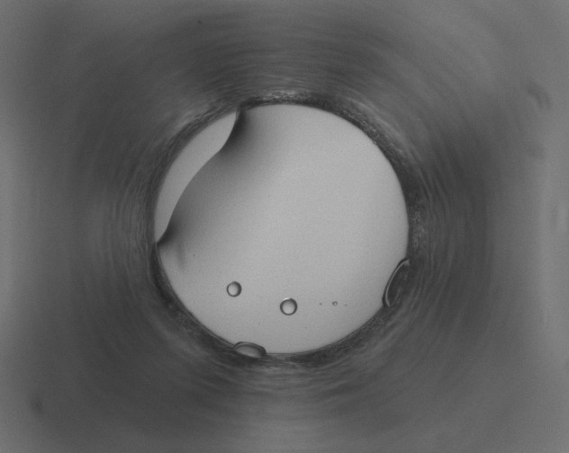 X0000116510215200912292150