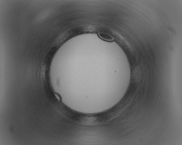 X0000116510217200912292150