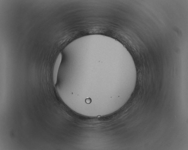 X0000116510219200912292150