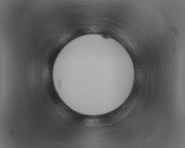 X0000116510220200912292150