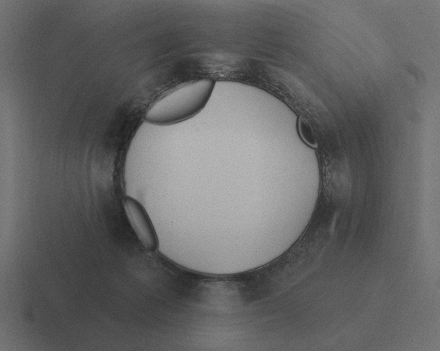 X0000116510221200912292150