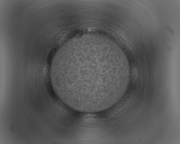 X0000116510222200912292150