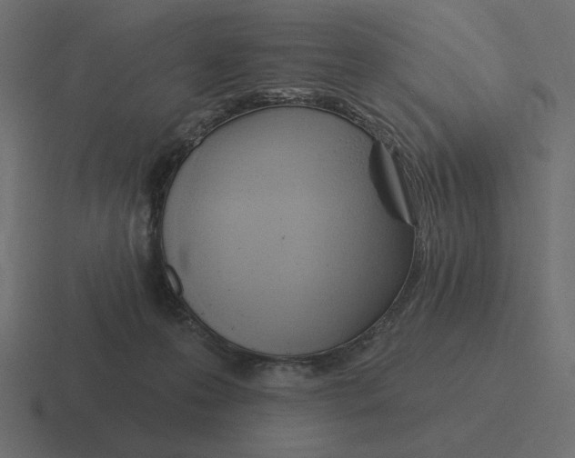 X0000116510223200912292150