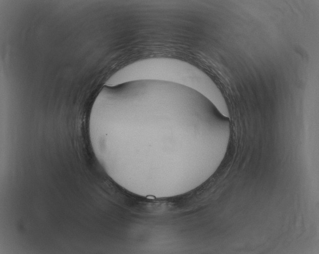 X0000116510225200912292150