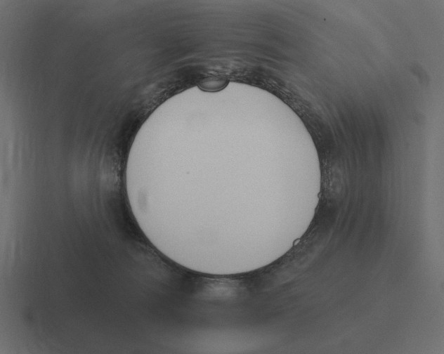 X0000116510226200912292150