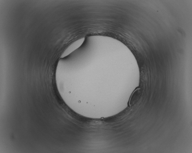 X0000116510227200912292150