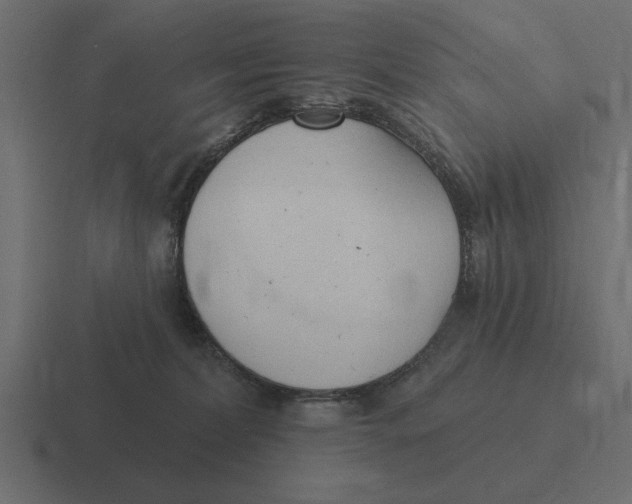 X0000116510228200912292150