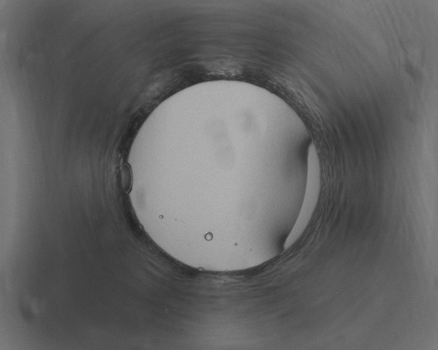 X0000116510229200912292150