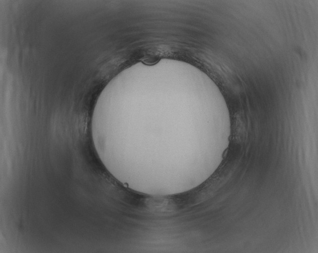 X0000116510230200912292150