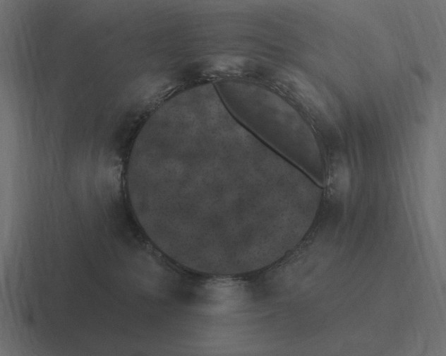 X0000116510231200912292150