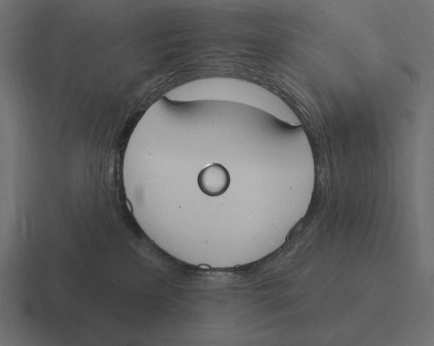 X0000116510233200912292150