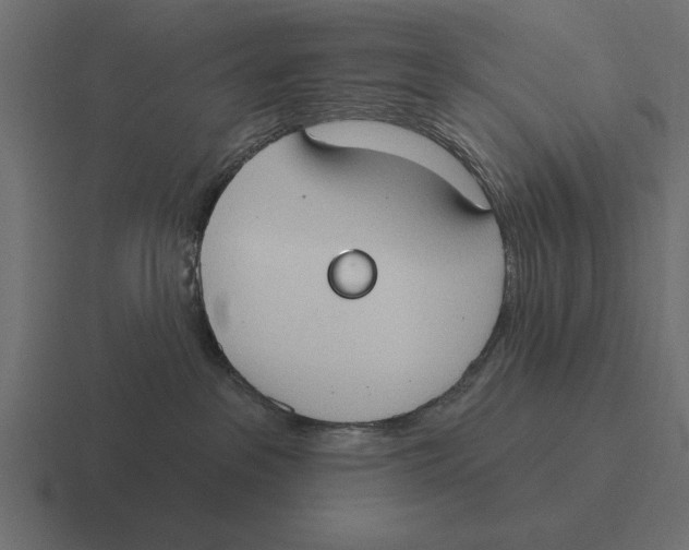 X0000116510237200912292150