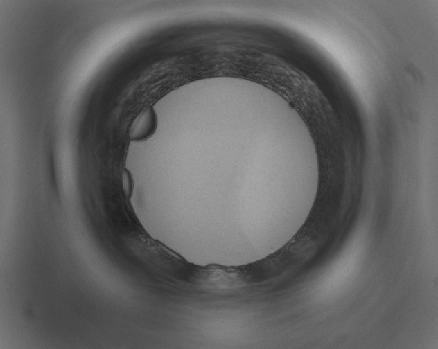 X0000116510239200912292150