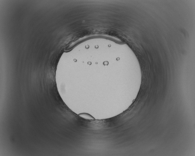 X0000116510240200912292150