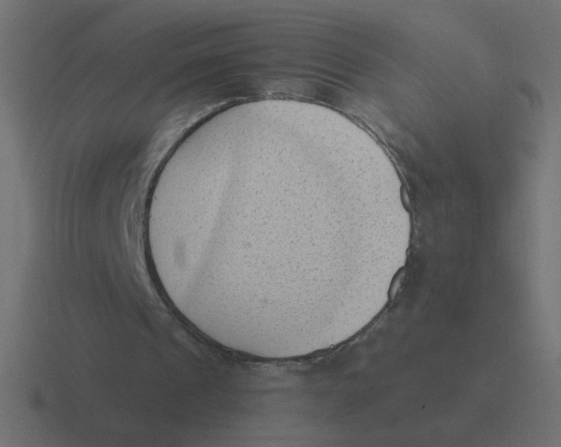 X0000116510241200912292150