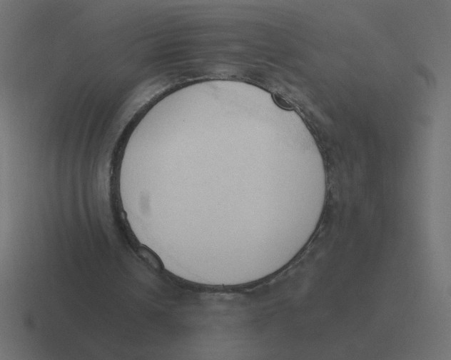 X0000116510242200912292150