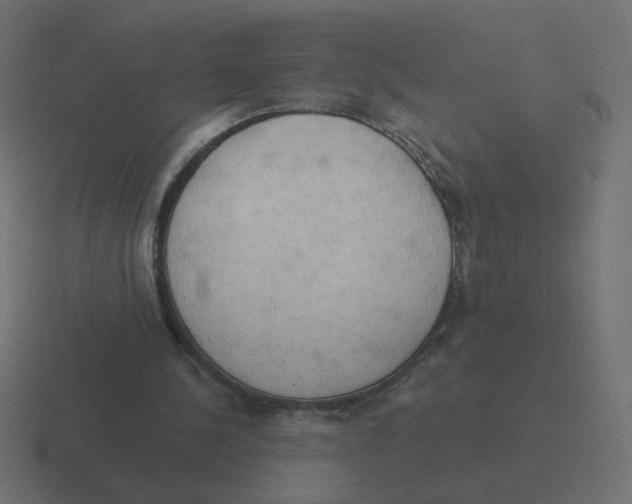 X0000116510244200912292150