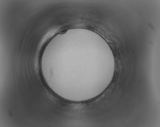 X0000116510245200912292150