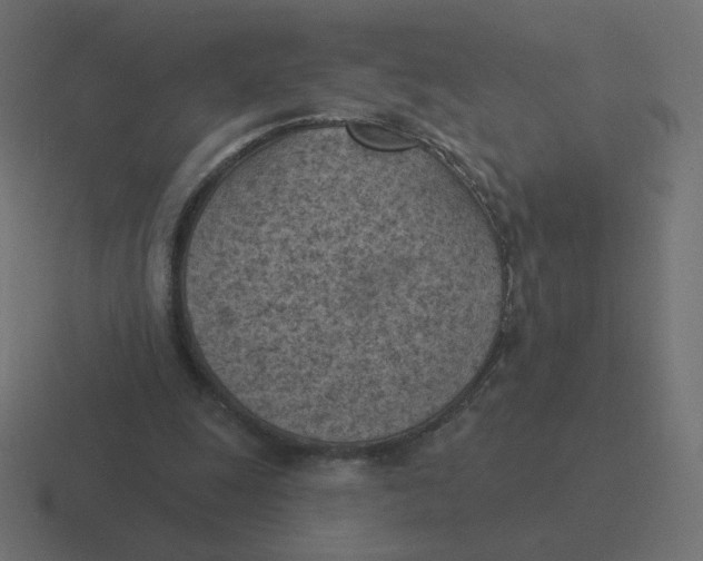 X0000116510247200912292150