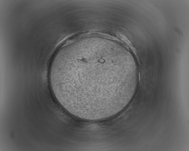 X0000116510249200912292150