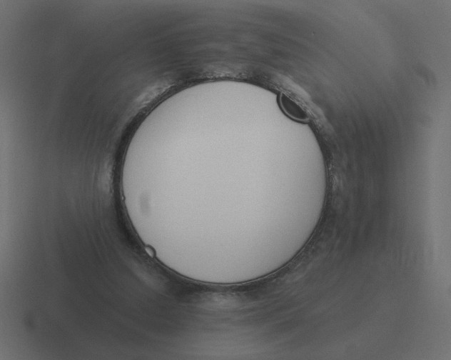 X0000116510250200912292150