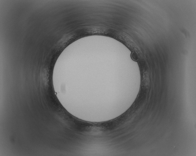 X0000116510255200912292150