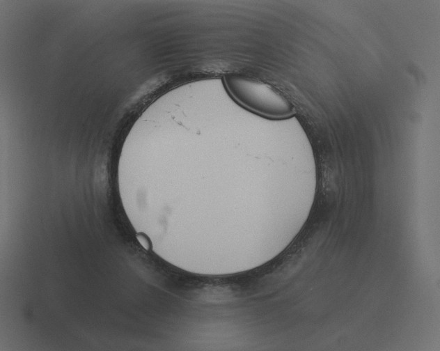 X0000116510256200912292150