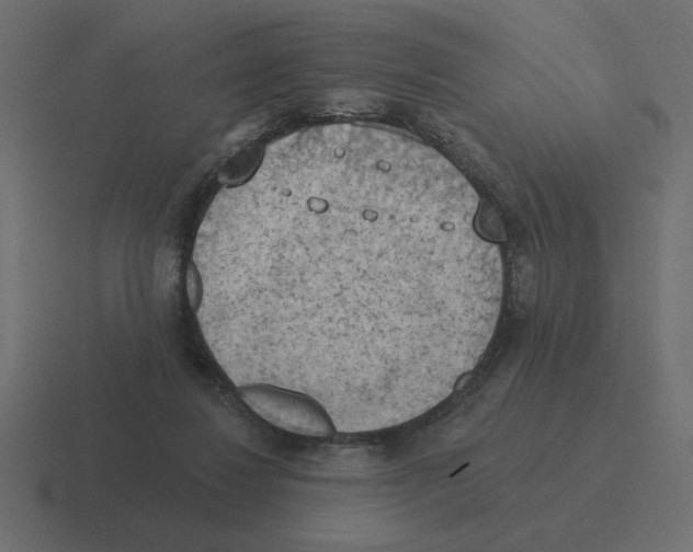 X0000116510260200912292150