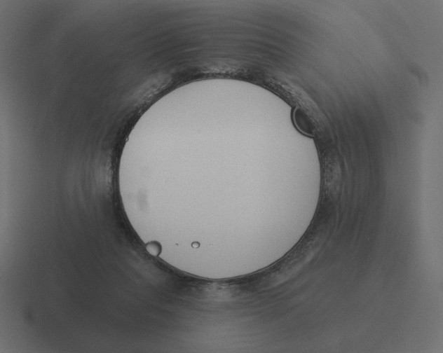 X0000116510261200912292150