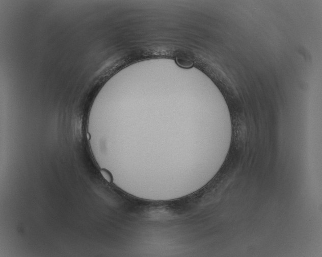 X0000116510262200912292150