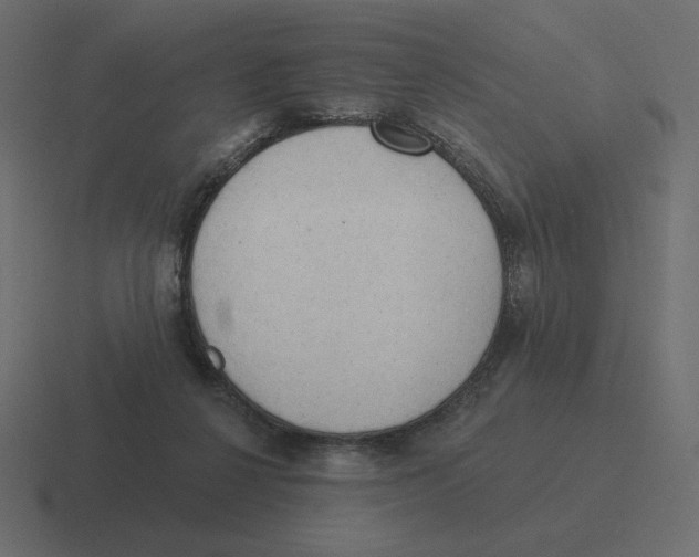 X0000116510264200912292150