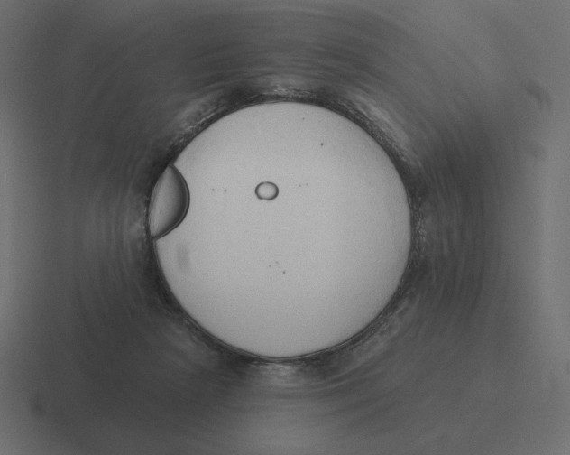 X0000116510265200912292150