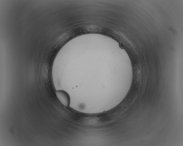 X0000116510266200912292150