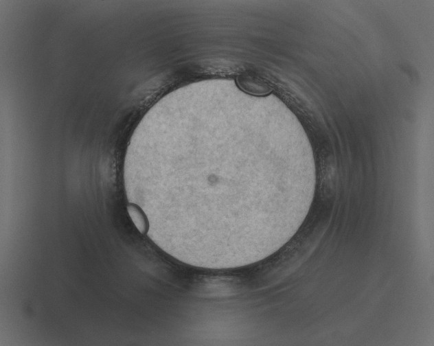 X0000116510268200912292150