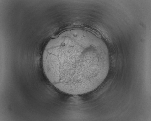 X0000116510269200912292150