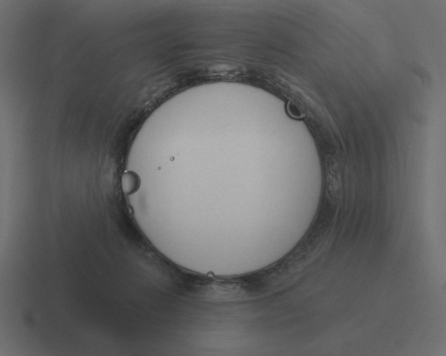 X0000116510270200912292150