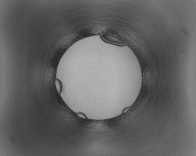 X0000116510280200912292150