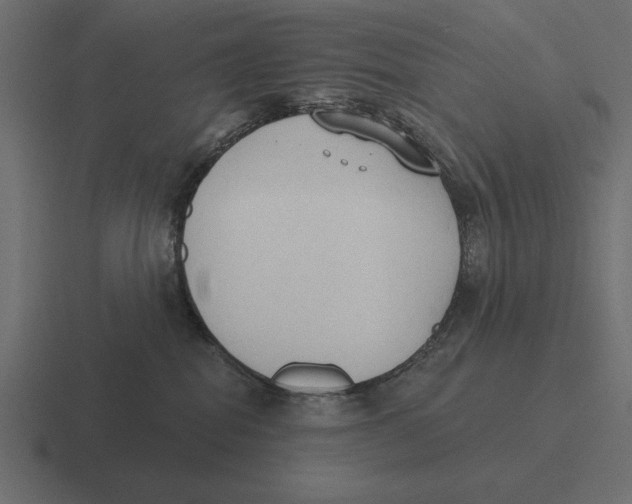 X0000116510282200912292150