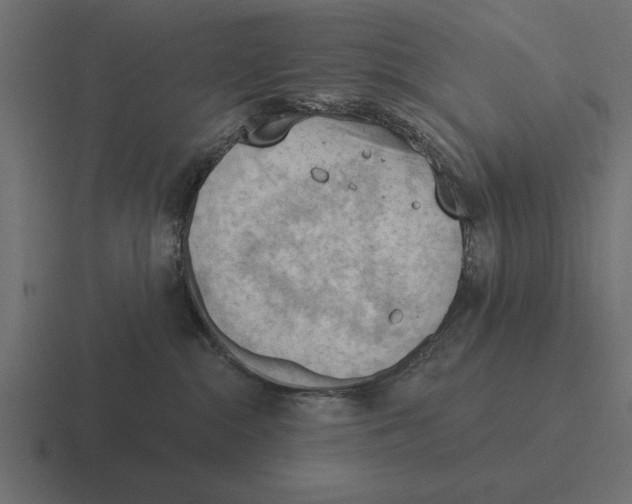 X0000116510284200912292150