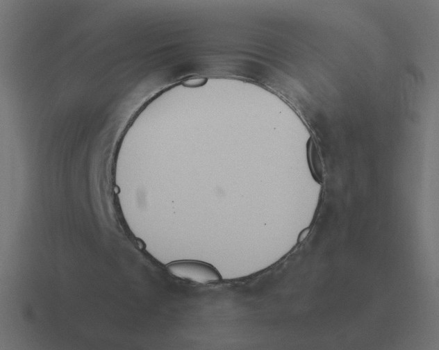 X0000116510289200912292150