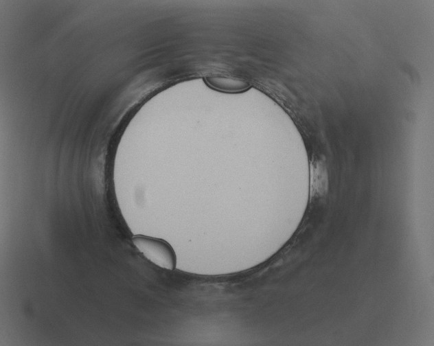 X0000116510291200912292149