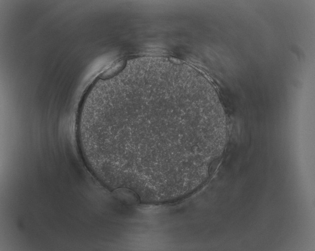 X0000116510293200912292149