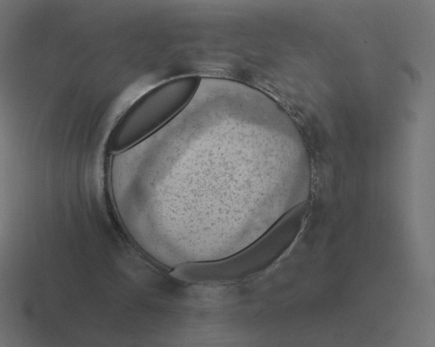 X0000116510294200912292149