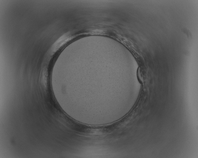 X0000116510295200912292149