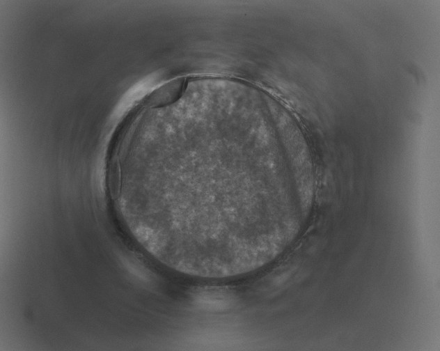 X0000116510296200912292149