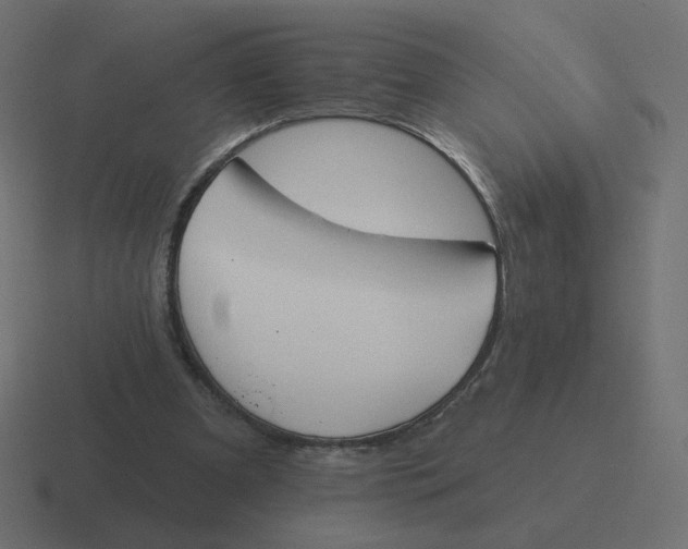 X0000116510297200912292149