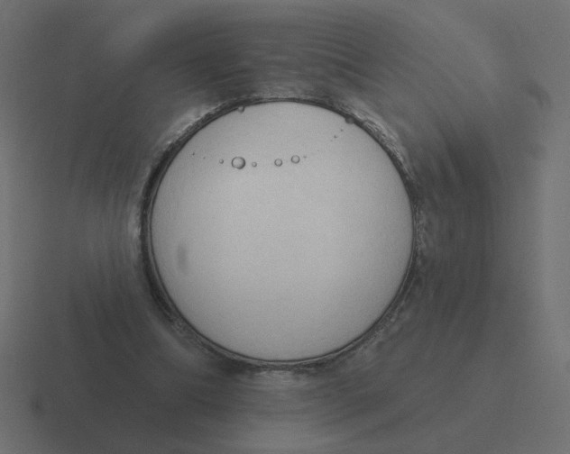 X0000116510298200912292149