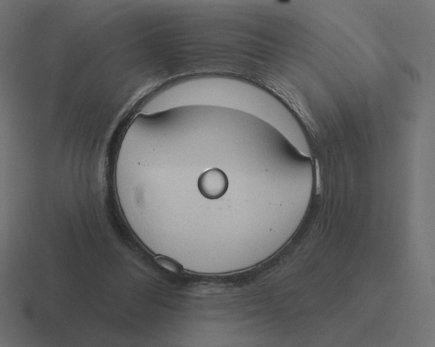 X0000116510300200912292149