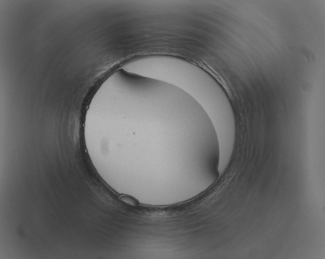 X0000116510301200912292149